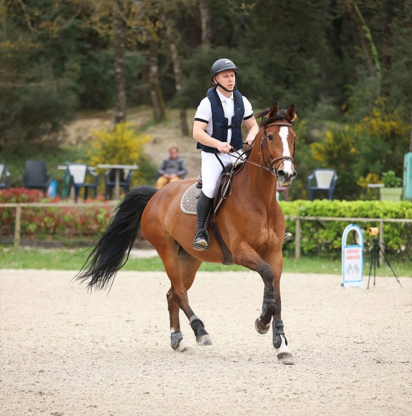 Nourriture pour chevaux, friandises, compléments et soins, nous vous proposons une large gamme