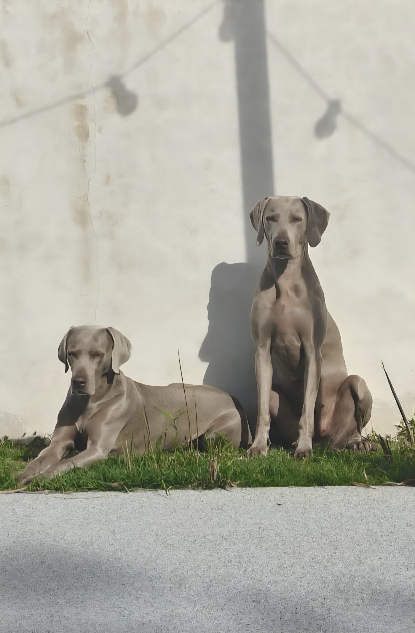 Omi et Taika, compagnons CROQ OCÉAN