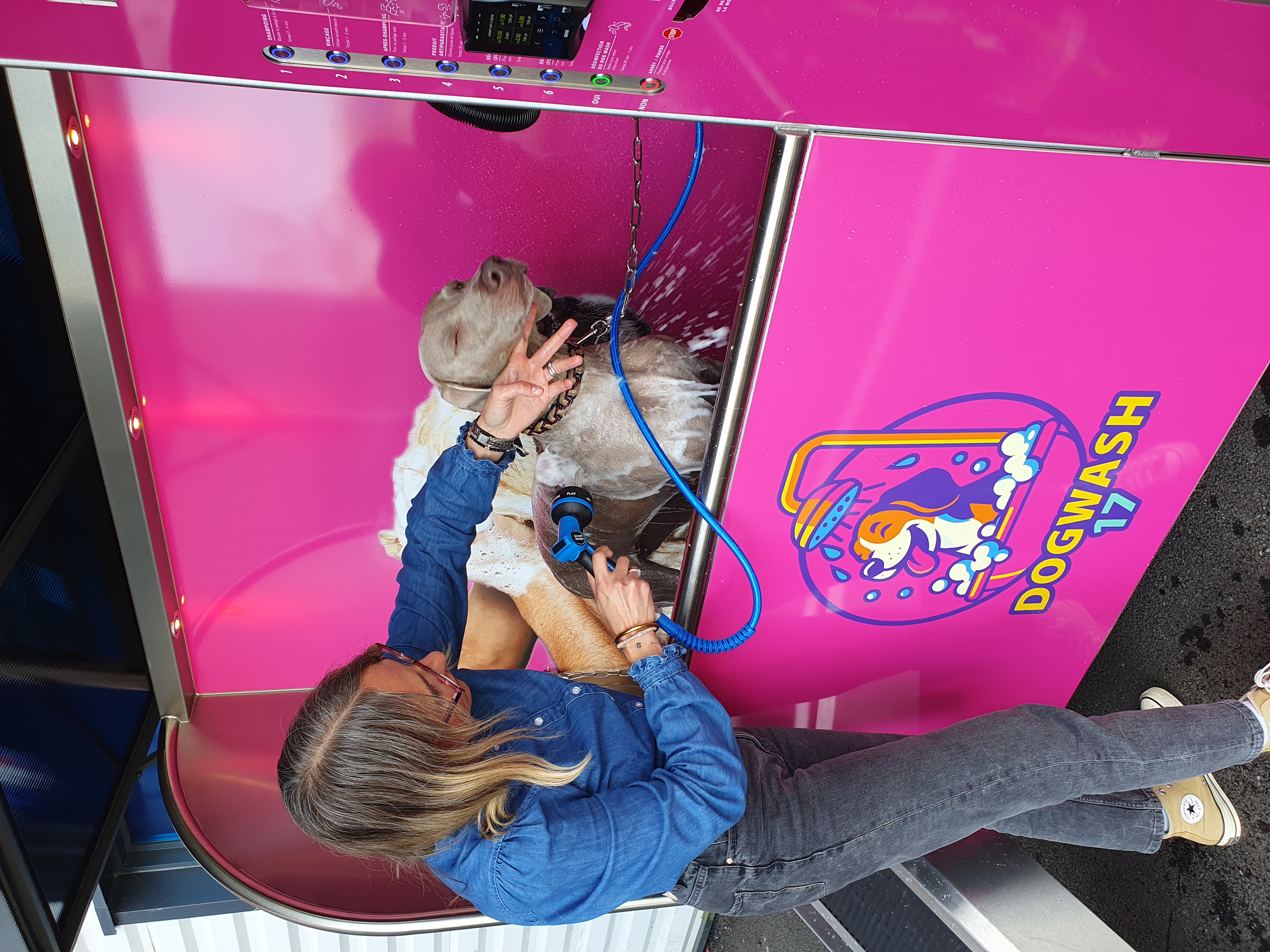 Dogwash